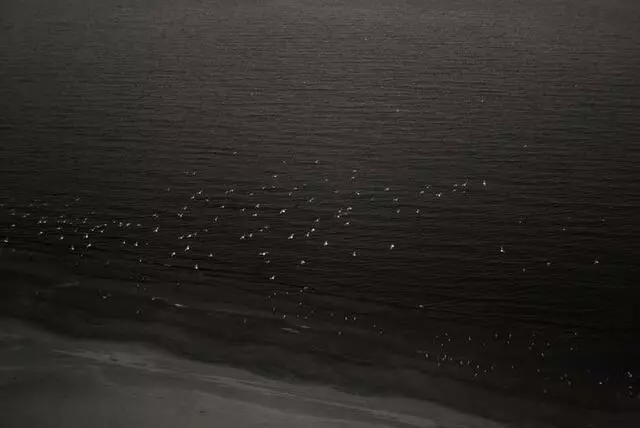 Anna Zimmerman Photography