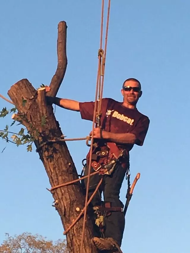 Fred & Son's Hauling & Tree Removal