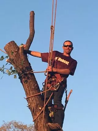 Fred & Son's Hauling & Tree Removal