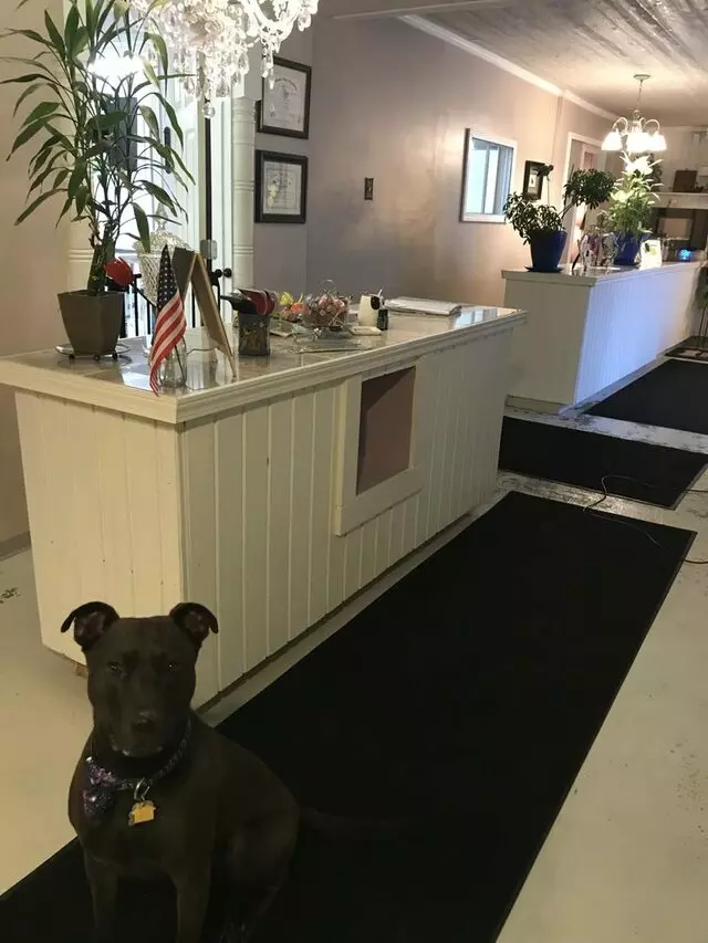 A Different Breed Dog Grooming