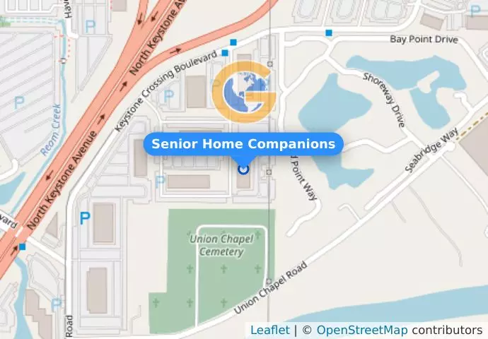 Senior Home Companions