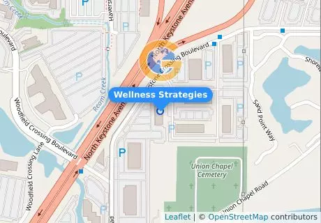 Wellness Strategies