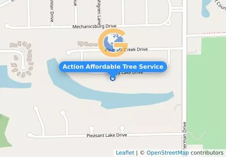 Action Affordable Tree Service