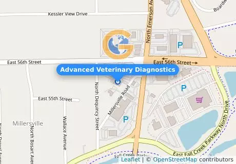 Advanced Veterinary Diagnostics