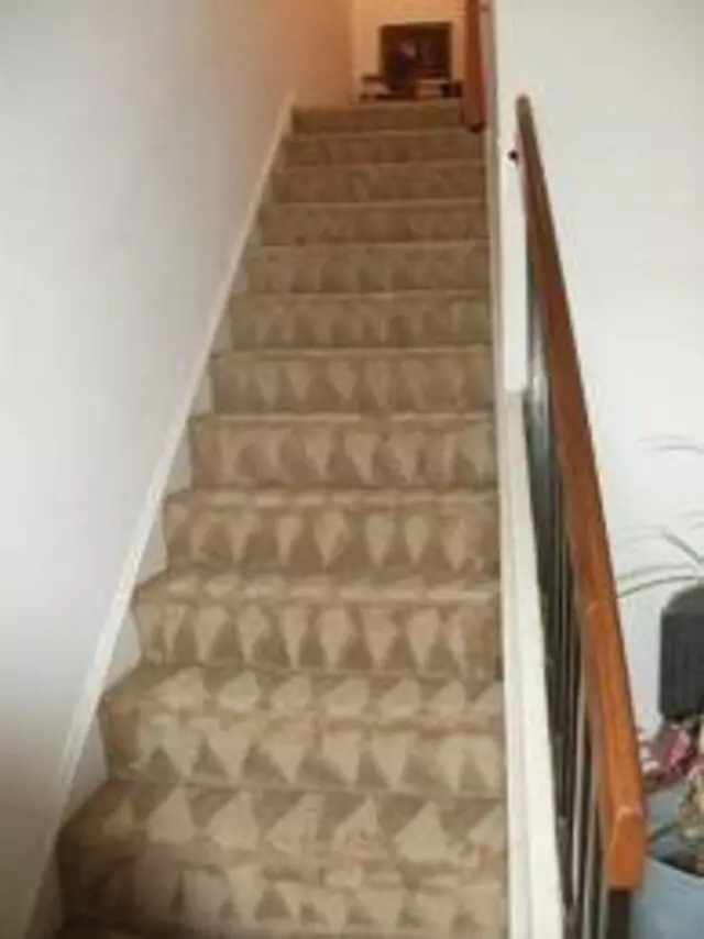 A Plus Carpet Cleaning