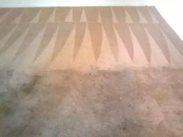 A Plus Carpet Cleaning