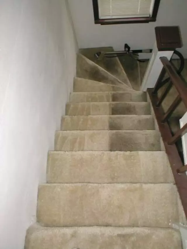 A Plus Carpet Cleaning