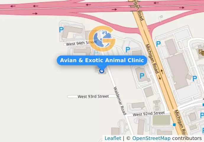 Avian & Exotic Animal Clinic