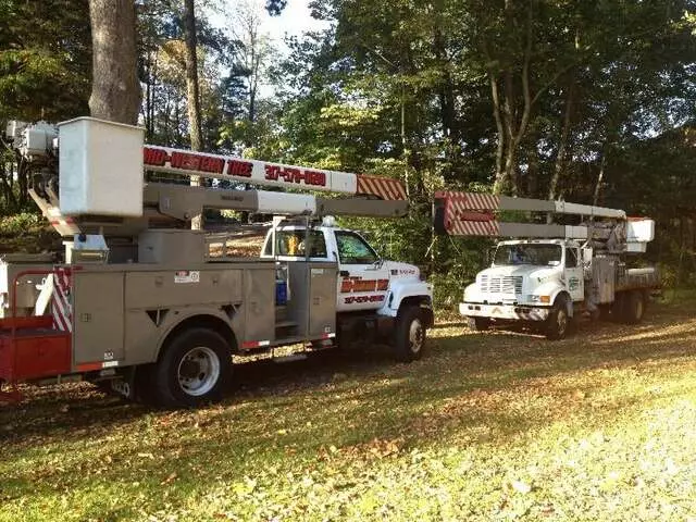 Arborist Professionals by Mid-Western Tree Experts