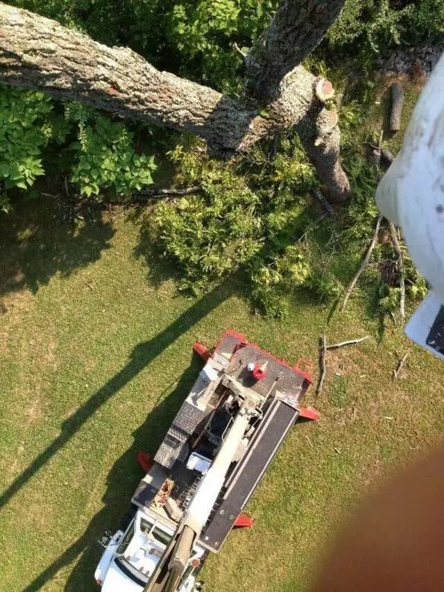 Arborist Professionals by Mid-Western Tree Experts