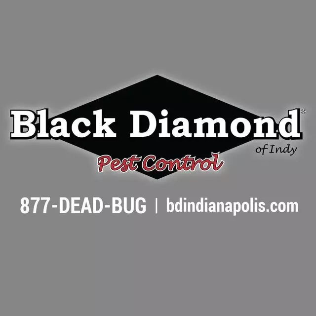 Black Diamond Pest Control - Indianapolis
