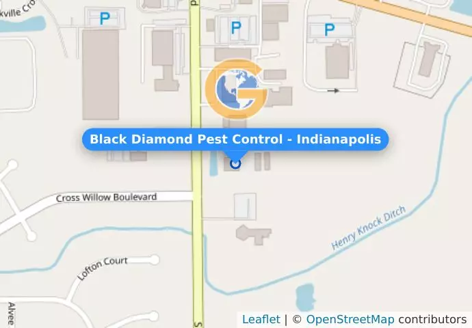 Black Diamond Pest Control - Indianapolis