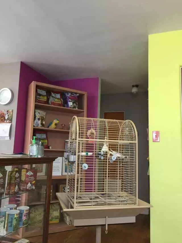 All Wild Things Exotic Animal Hospital