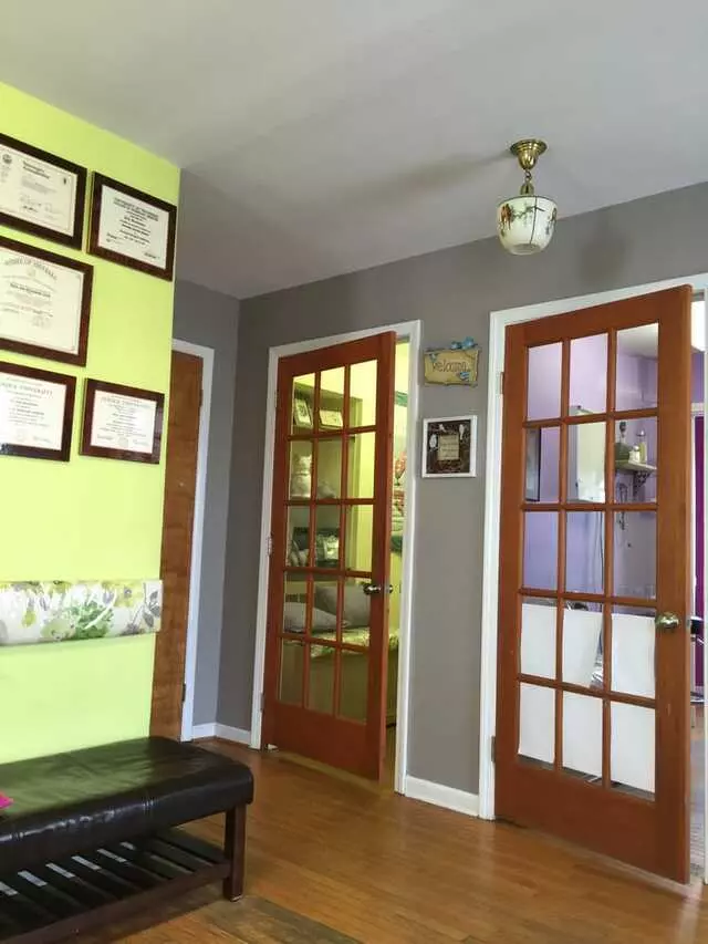 All Wild Things Exotic Animal Hospital