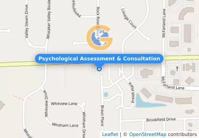 Psychological Assessment & Consultation