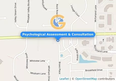Psychological Assessment & Consultation