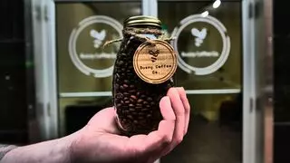 Buzzy Coffee Co.