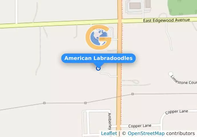 American Labradoodles
