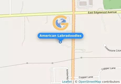 American Labradoodles