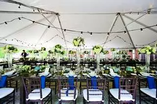 Ace Party Rental