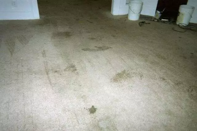 American Carpet Cleaners