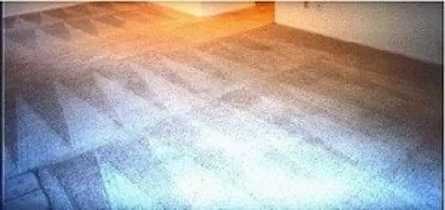 American Carpet Cleaners