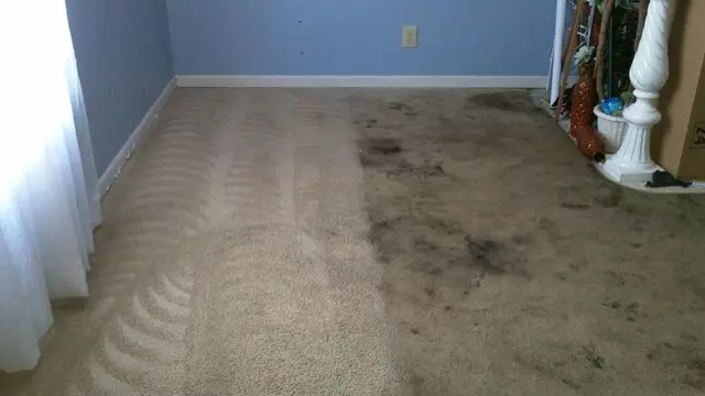 American Carpet Cleaners