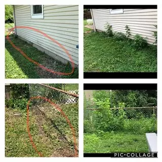 Precision Cutz Lawn Care