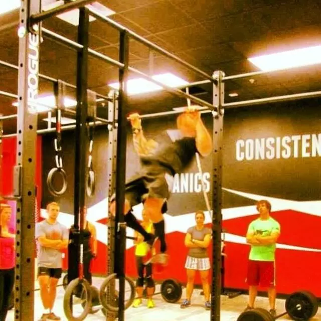 Crossfit Dog Fight