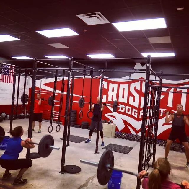 Crossfit Dog Fight