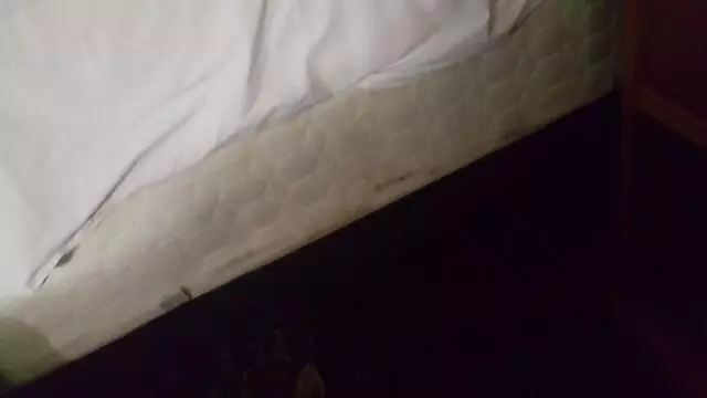 Always Inn