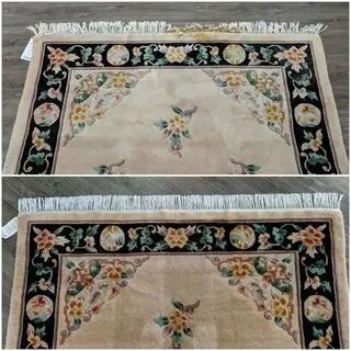 Sani-Bright Carpet Cleaning