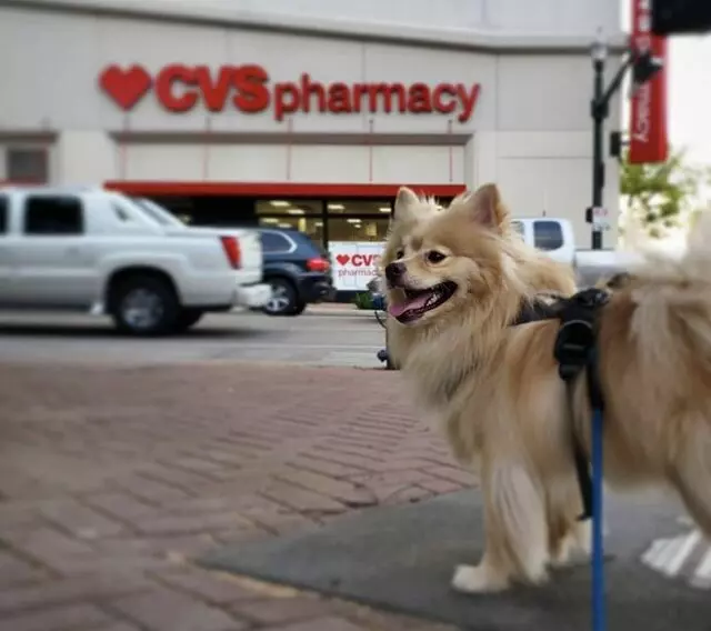CVS - CityWay