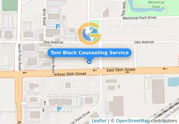 Toni Black Counseling Service