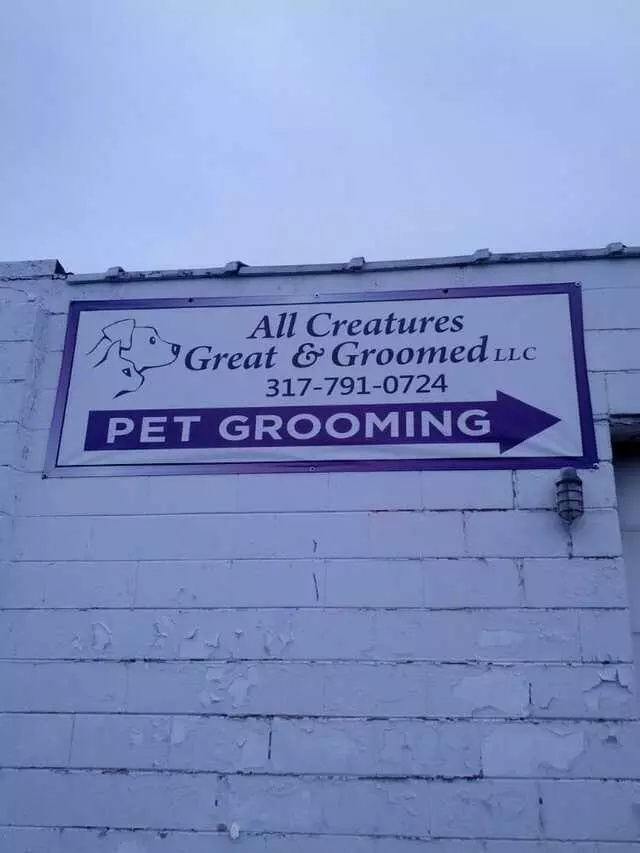 All Creatures Great and Groomed