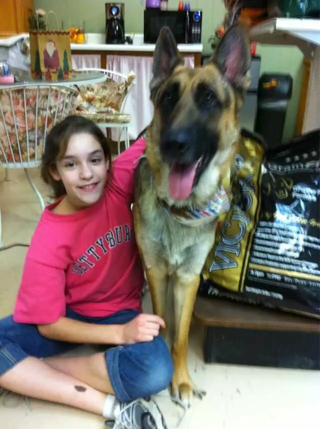 All Creatures Great and Groomed