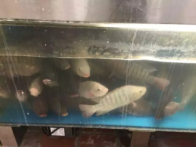 Asia Mart