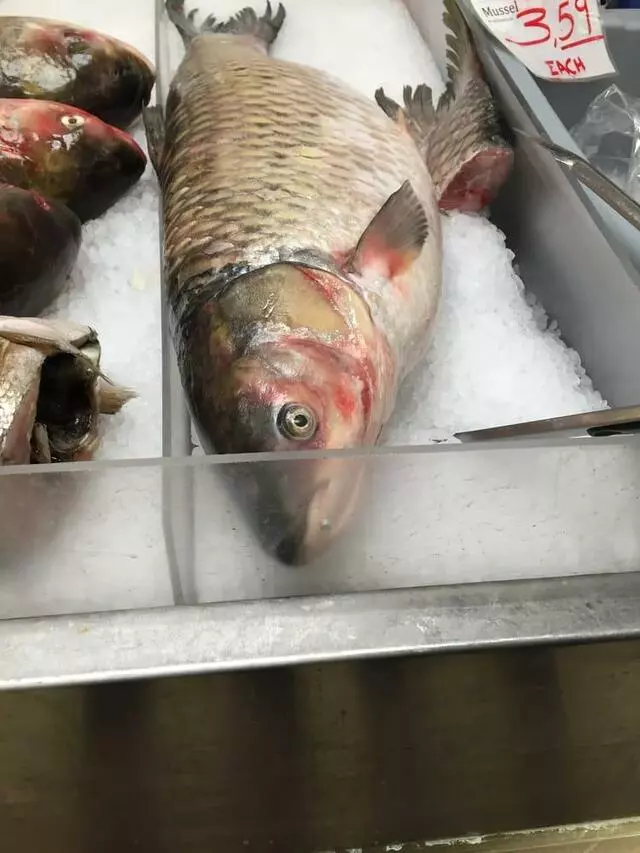 Asia Mart