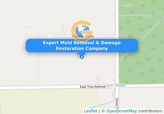 Expert Mold Removal & Damage Restoration Company