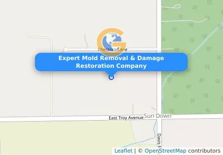 Expert Mold Removal & Damage Restoration Company