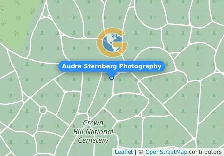 Audra Sternberg Photography