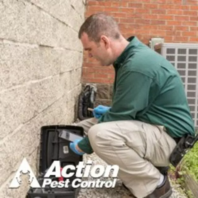 Action Pest Control