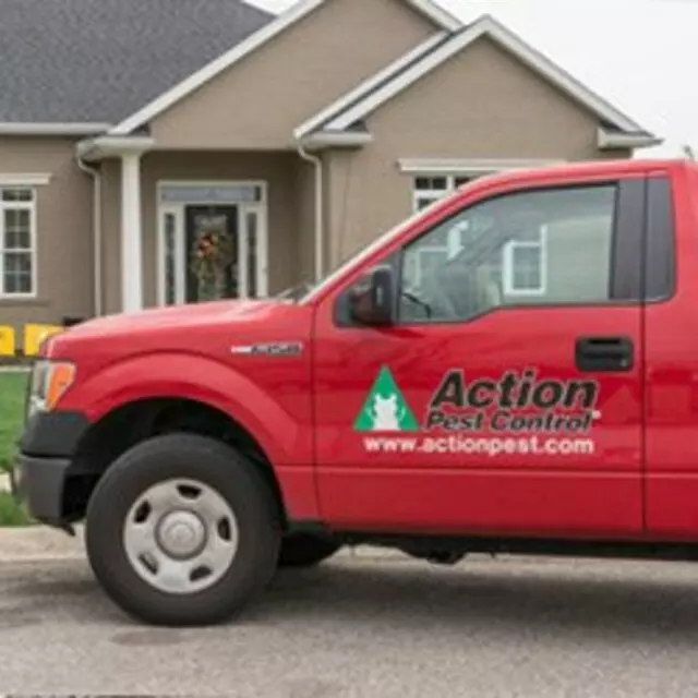 Action Pest Control