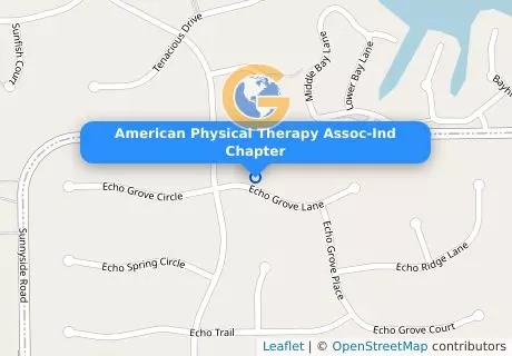 American Physical Therapy Assoc-Ind Chapter
