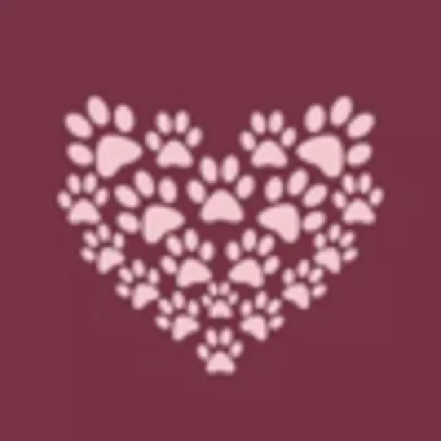 All About Cats, LLC