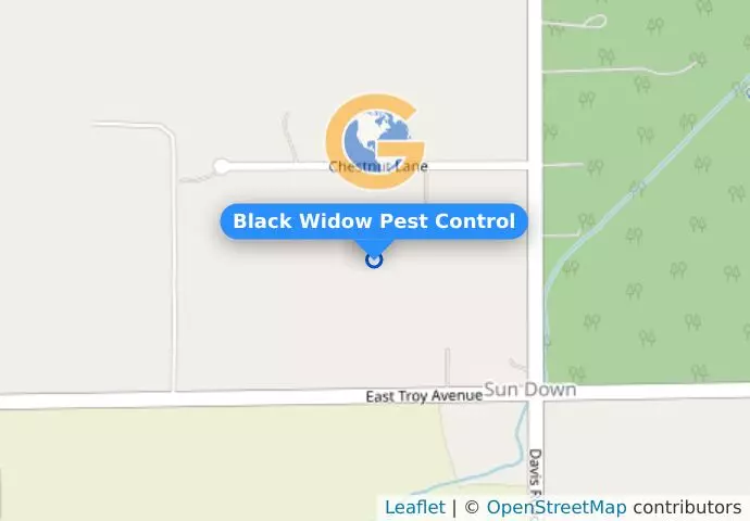 Black Widow Pest Control
