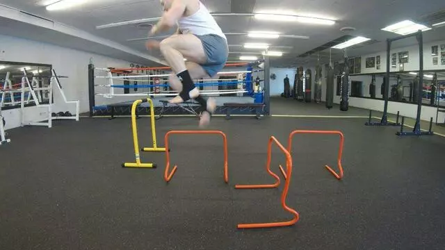 Famous Wolf Strength and Fitness