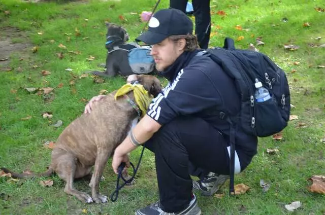 Andrew Warner Dog Training