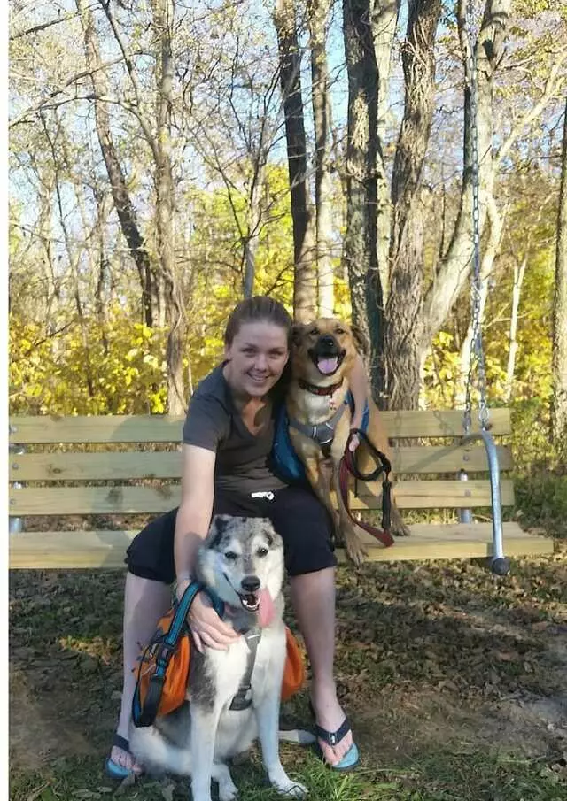 Andrew Warner Dog Training