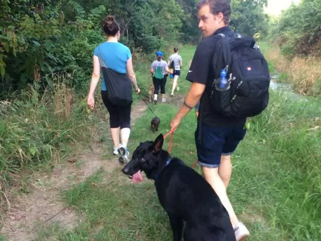Andrew Warner Dog Training